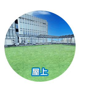 屋上の写真