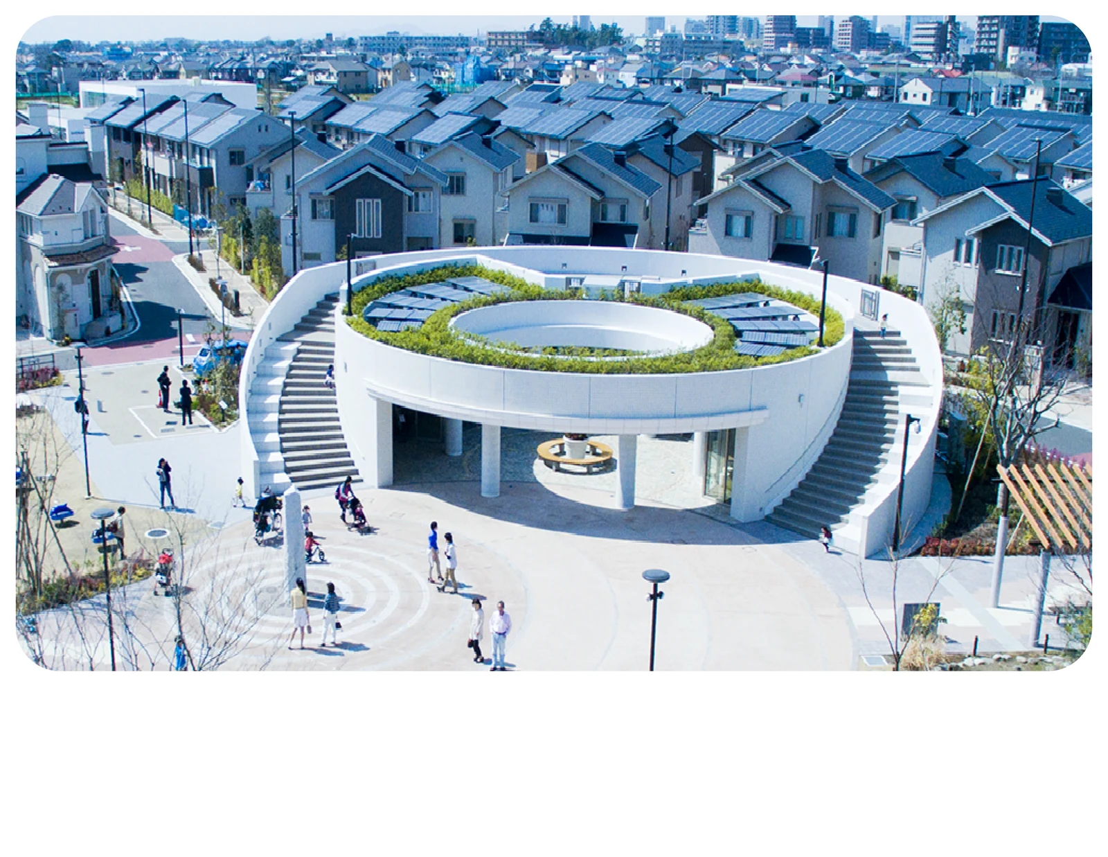柏の葉校